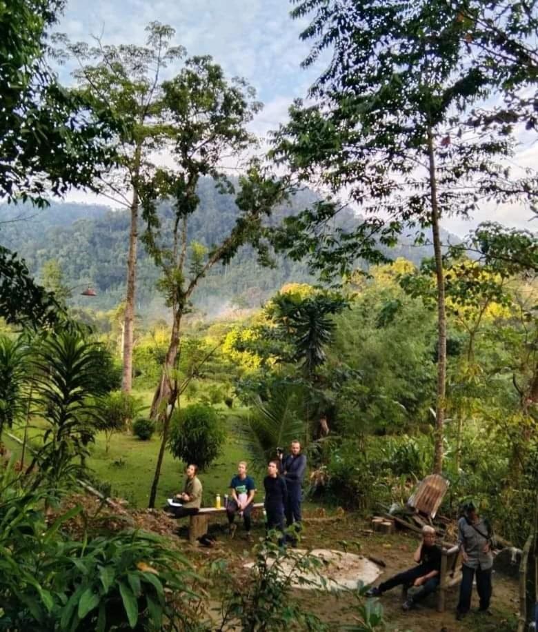 Batu Kapal Guest House & Jungle Trekking Bukit Lawang Eksteriør bilde