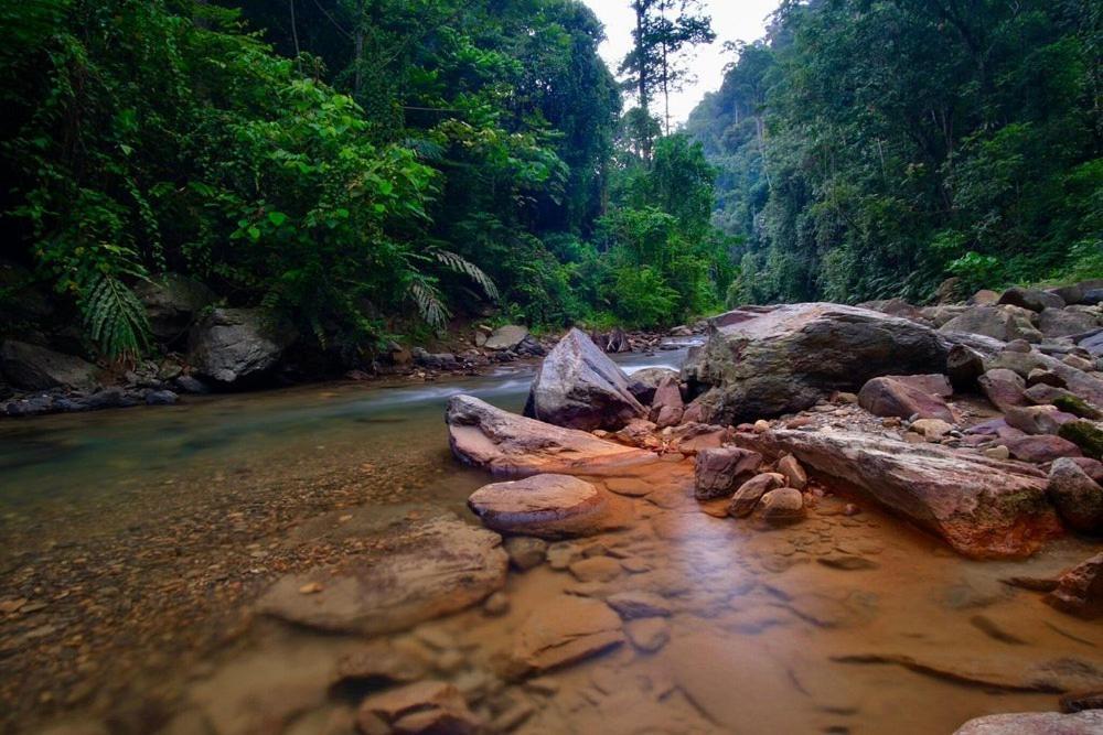 Batu Kapal Guest House & Jungle Trekking Bukit Lawang Eksteriør bilde