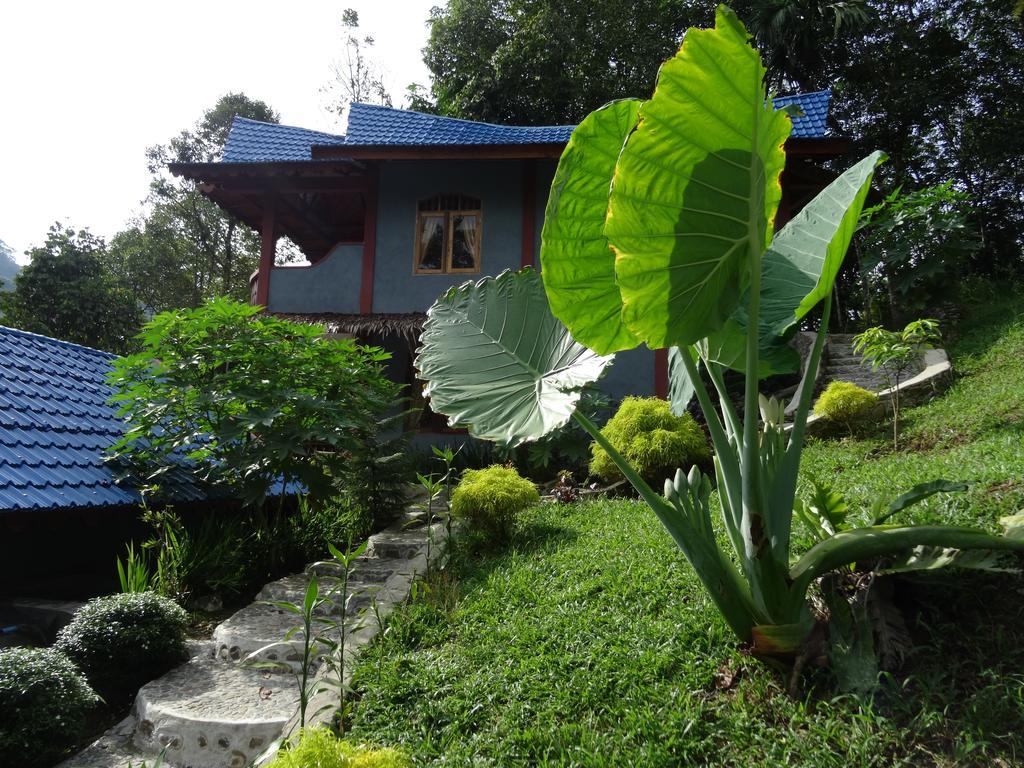 Batu Kapal Guest House & Jungle Trekking Bukit Lawang Eksteriør bilde
