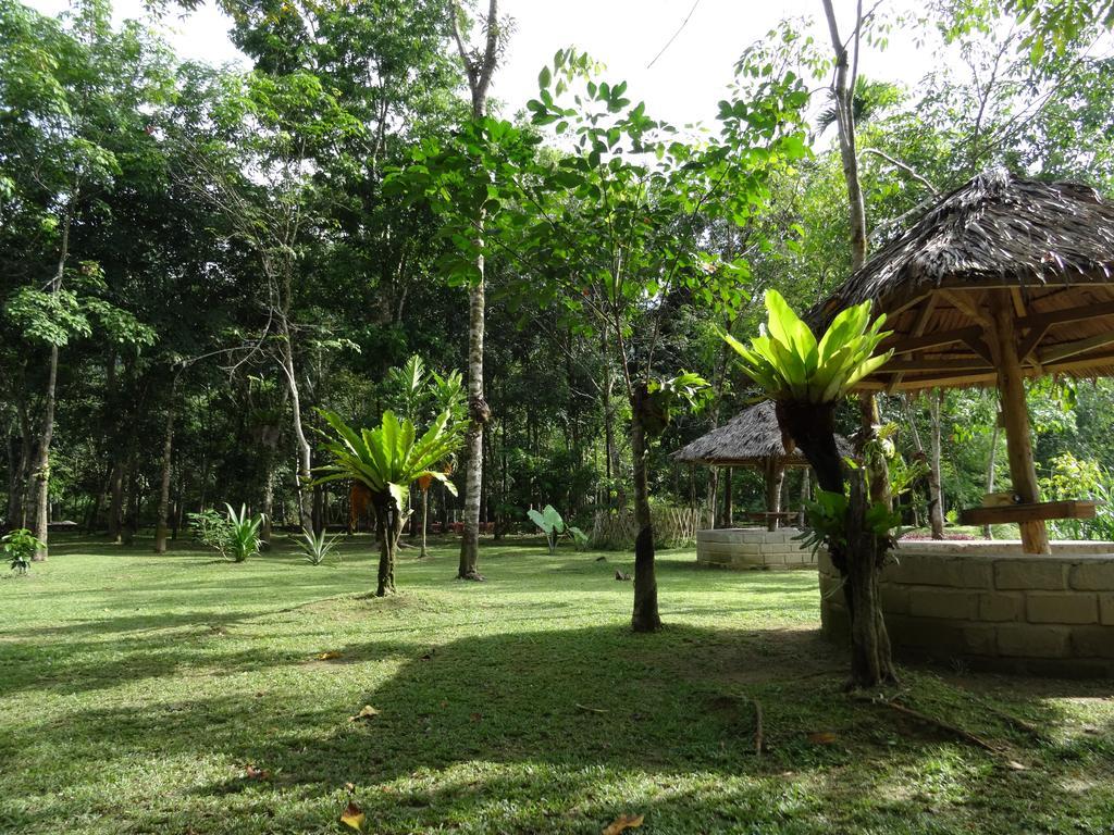Batu Kapal Guest House & Jungle Trekking Bukit Lawang Eksteriør bilde