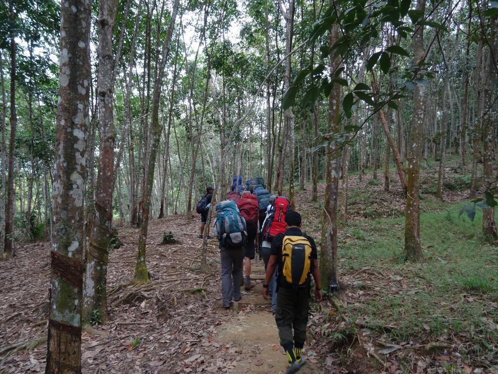 Batu Kapal Guest House & Jungle Trekking Bukit Lawang Eksteriør bilde