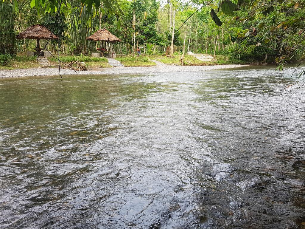 Batu Kapal Guest House & Jungle Trekking Bukit Lawang Eksteriør bilde